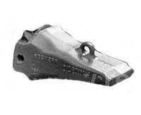 Teeth and Tooth Systems
